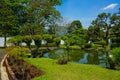 Japan or japanese garden style with bonsai tree with green grass and small pool or lake with white wall on background - photo Royalty Free Stock Photo