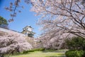 Japan Kanazawa Castle. Royalty Free Stock Photo