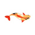 japan koi fish carp cartoon vector illustration Royalty Free Stock Photo