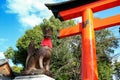 Japan Kyoto Fushimi Inari-taisha