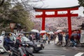 Japan, Kyoto, 04/07/2017. Gate to Japanese park with cherry blossoms Royalty Free Stock Photo