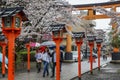 Japan, Kyoto, 04/07/2017. Gate to Japanese park with cherry blossoms Royalty Free Stock Photo