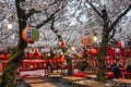 Japan, Kyoto, 04/07/2017. Hanami celebration in a Japanese park Royalty Free Stock Photo