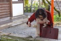 Japan, Kyoto, 04/07/2017. Japanese woman drinks holy water from a traditional tank in a park