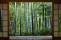 Japan Kyoto Okochi Denjiro bamboo grove seen from Tea House Royalty Free Stock Photo