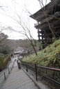 Plant, tree, flower, hill, station, tourist, attraction, cherry, blossom, walkway, road, trail, spring, mountain, winter