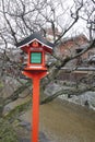 Plant, tree, winter, spring, house, cherry, blossom, branch