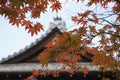 Japan Kyoto Tenju-an Temple roof with Japanese maple tree in foreground Autumn Royalty Free Stock Photo
