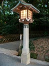 Japan lamp in nature garden