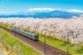 Japan landscape scenic view of JR Tohoku train with full bloom of sakura and cherry blossom, hitome senbonzakura, tohoku, asia Royalty Free Stock Photo