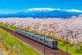 Japan landscape scenic view of JR Tohoku train with full bloom of sakura and cherry blossom, hitome senbonzakura, tohoku, asia