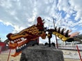 Japan lego flying ninja dragon