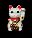 Japan lucky cat on black background Royalty Free Stock Photo