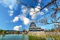 Japan. Matsumoto Castle. Cherry blossom. Sakura Royalty Free Stock Photo