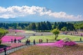 Japan - May 19,2017 : Tourists enjoy shibazakura festival sights