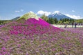 Fuji Mountain and Pink Moss Shibazakura Flower Garden in Spring, Japan