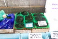 Japan Morning Market, Katsuura, Local stall holders can be seen selling thier produce in this 400 year old Market place. Royalty Free Stock Photo