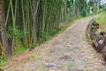 Japan Nakasendo trail