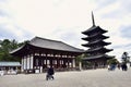 Japan Nara park temple