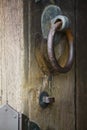 Japan Nara Todai-ji Temple Door knobs of shrine close-up