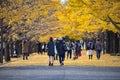 Crowded of Tourists in Yellow Gingko Tree Tunnel in Autumn, Showa Kinen Memorial Park, Tokyo, Japan Royalty Free Stock Photo