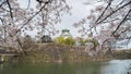 Japan Osaka castle with cherry blossom. Japanese spring view. Royalty Free Stock Photo