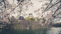 Japan Osaka castle with cherry blossom. Japanese spring view. ,v Royalty Free Stock Photo