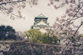 Japan Osaka castle with cherry blossom. Japanese spring view. ,v