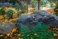 Japan park with boulders. Panorama of rockery rock garden. gardening background panoramic view. gardener backyard design element