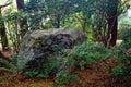 Japan park with boulders. Panorama of rockery rock garden. gardening background panoramic view. gardener backyard design element