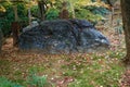 Japan park with boulders. Panorama of rockery rock garden. gardening background panoramic view. gardener backyard design element Royalty Free Stock Photo