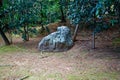 Japan park with boulders. Panorama of rockery rock garden. gardening background panoramic view. gardener backyard design element