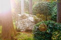 Japan park with boulders. Panorama of rockery rock garden. gardening background panoramic view. gardener backyard design element Royalty Free Stock Photo