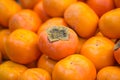 Japan Persimmon orange fruit