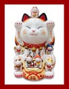 Japan plutus cat Royalty Free Stock Photo