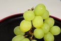 Japan`s green Muscat placed on a red lacquer ware Royalty Free Stock Photo
