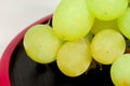 Japan`s green Muscat placed on a red lacquer ware Royalty Free Stock Photo