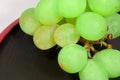 Japan`s green Muscat placed on a red lacquer ware Royalty Free Stock Photo
