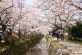 Japan sakura Royalty Free Stock Photo