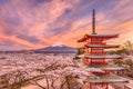 Japan in Spring Season Royalty Free Stock Photo