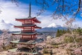 Japan in Spring Season Royalty Free Stock Photo