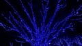 Japan tokyo christmas tree with blue leds decoration