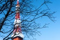 Japan, Tokyo Hot Spot, Tokyo Tower with foreground of branches of the fall leaves tree, blue sky background Royalty Free Stock Photo