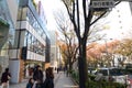 Japan,Tokyo - Nonember 24, 2013: People shopping at Omotesando Street