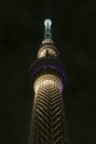 Japan Tokyo skytree tower building at night
