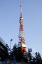 tokyo tower colorful