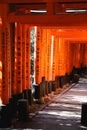 Japan Torii tunnel a place full of color and spiritual vibe