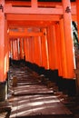 Japan Torii tunnel a place full of color and spiritual vibe