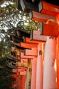 Japan Torii tunnel a place full of color and spiritual vibe