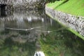 Japan tourist guide information. \'Hikone Castle\' and \'Genkyuen- garden\' Royalty Free Stock Photo